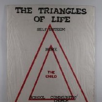 Display Board B2019.1.1076