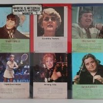 Display Board B2019.1.1081