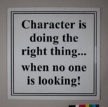 Display Board B2019.1.114