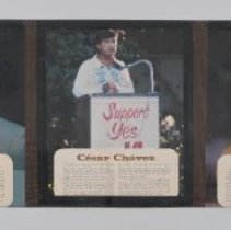 Display Board B2019.1.1229