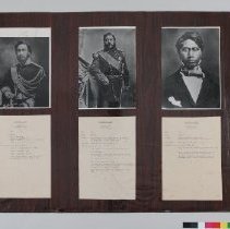 Display Board B2019.1.1281