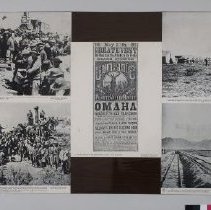 Display Board B2019.1.1341