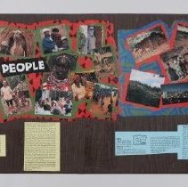 Display Board B2019.1.854