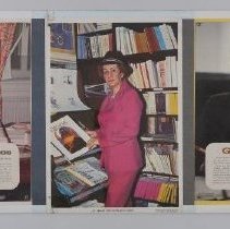 Display Board B2019.1.1231