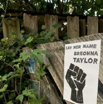 B2020.18.17 Digital photograph