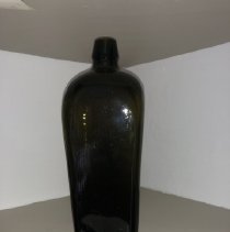 Case Bottle 2007.17