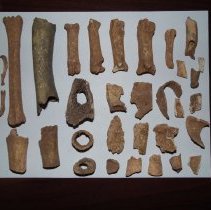 Bone fragments from cooking/butchering