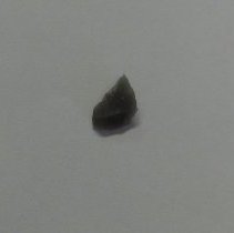 Other side of distal biface fragment