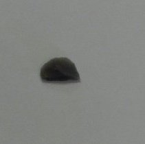 Distal biface fragment