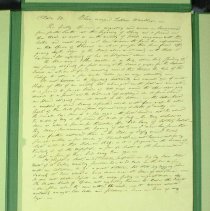 Blue-Winged Yellow Swamp Warbler Original Manuscript