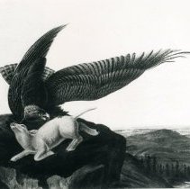 Photo of Eagle & Lamb Oil Painting