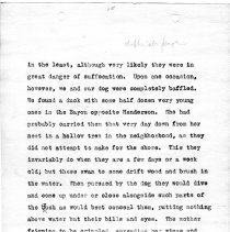 Some Stories of Audubon by F. H. Shaffer, page  32