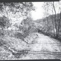 Old Neiffer Road looking towards Sunrise Mill