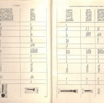 Foreign Bodies in Air and Food Passages, pages 14 and 15