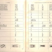 Foreign Bodies in Air and Food Passages, pages 18 and 19