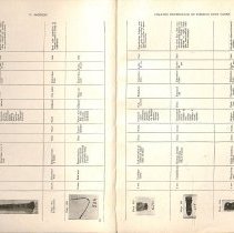 Foreign Bodies in Air and Food Passages, pages 20 and 21