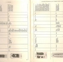 Foreign Bodies in Air and Food Passages, pages 22 and 23