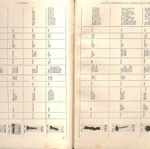 Foreign Bodies in Air and Food Passages, pages 26 and 27