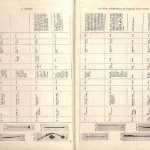 Foreign Bodies in Air and Food Passages, pages 32 and 33