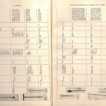 Foreign Bodies in Air and Food Passages, pages 34 and 35
