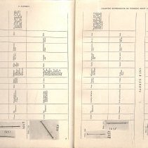Foreign Bodies in Air and Food Passages, pages 36 and 37