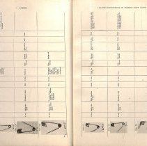 Foreign Bodies in Air and Food Passages, pages 38 and 39