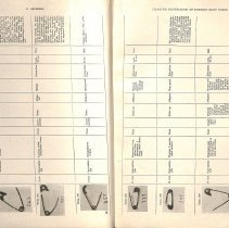 Foreign Bodies in Air and Food Passages, pages 46 and 47