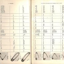 Foreign Bodies in Air and Food Passages, pages 54 and 55
