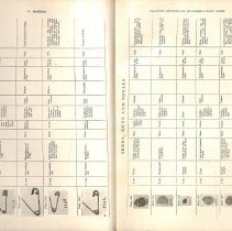 Foreign Bodies in Air and Food Passages, pages 56 and 57