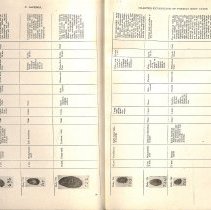 Foreign Bodies in Air and Food Passages, pages 58 and 59