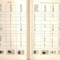Foreign Bodies in Air and Food Passages, pages 74 and 75