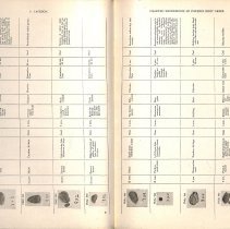 Foreign Bodies in Air and Food Passages, pages 76 and 77