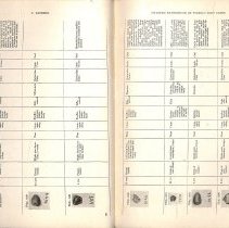 Foreign Bodies in Air and Food Passages, pages 82 and 83