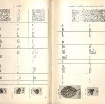 Foreign Bodies in Air and Food Passages, pages 84 and 85