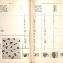 Foreign Bodies in Air and Food Passages, pages 88 and 89