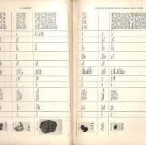 Foreign Bodies in Air and Food Passages, pages 90 and 91