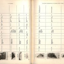 Foreign Bodies in Air and Food Passages, pages 92 and 93