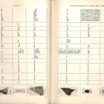 Foreign Bodies in Air and Food Passages, pages 94 and 95