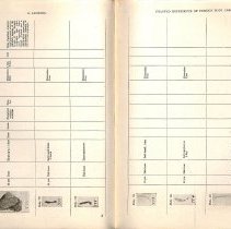 Foreign Bodies in Air and Food Passages, pages 96 and 97