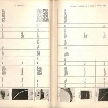 Foreign Bodies in Air and Food Passages, pages 100 and 101
