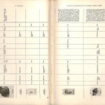 Foreign Bodies in Air and Food Passages, pages 102 and 103