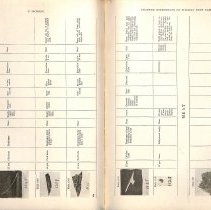Foreign Bodies in Air and Food Passages, pages 106 and 107