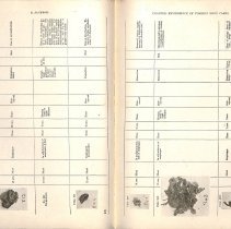 Foreign Bodies in Air and Food Passages, pages 110 and 111