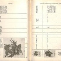 Foreign Bodies in Air and Food Passages, pages 114 and 115