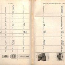 Foreign Bodies in Air and Food Passages, pages 124 and 125