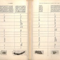 Foreign Bodies in Air and Food Passages, pages 128 and 129
