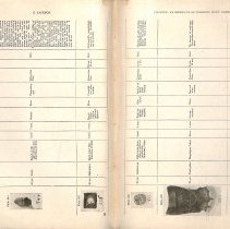 Foreign Bodies in Air and Food Passages, pages 130 and 131