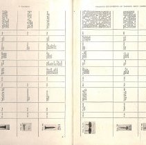 Foreign Bodies in Air and Food Passages, pages 6 and 7