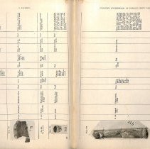 Foreign Bodies in Air and Food Passages, pages 132 and 133