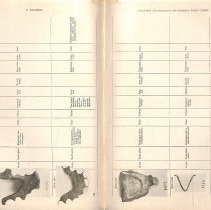 Foreign Bodies in Air and Food Passages, pages 134 and 135